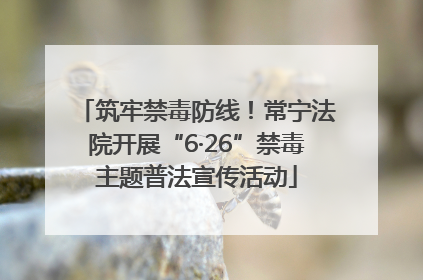 筑牢禁毒防线！常宁法院开展“6·26”禁毒主题普法宣传活动