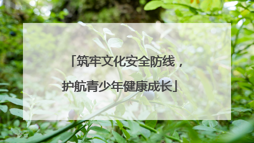 筑牢文化安全防线，护航青少年健康成长