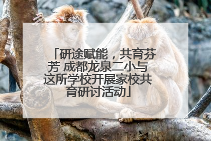 研途赋能，共育芬芳 成都龙泉二小与这所学校开展家校共育研讨活动