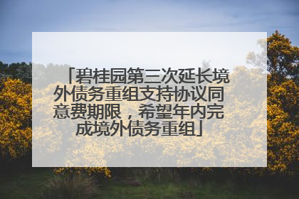 碧桂园第三次延长境外债务重组支持协议同意费期限，希望年内完成境外债务重组