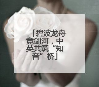 碧波龙舟竞剑河，中英共筑“知音”桥