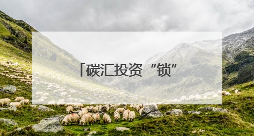 碳汇投资“锁”在系统里，甘肃碳交回应：系会员单位违规操作