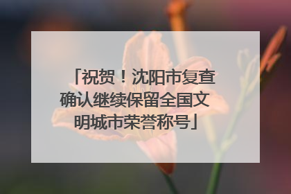祝贺！沈阳市复查确认继续保留全国文明城市荣誉称号