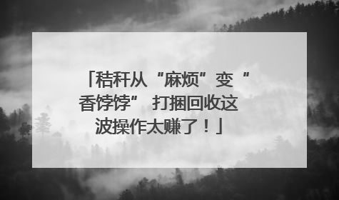 秸秆从“麻烦”变“香饽饽” 打捆回收这波操作太赚了！