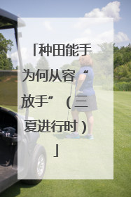 种田能手为何从容“放手”（三夏进行时）