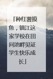 种红薯摸鱼，镇江这家学校在田间池畔见证学生快乐成长