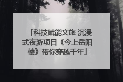 科技赋能文旅 沉浸式夜游项目《今上岳阳楼》带你穿越千年