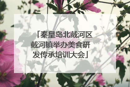 秦皇岛北戴河区戴河镇举办美食研发传承培训大会