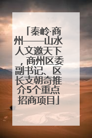 秦岭·商州——山水人文邀天下，商州区委副书记、区长支朝奇推介5个重点招商项目