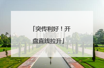 突传利好！开盘直线拉升