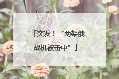 突发！“两架俄战机被击中”