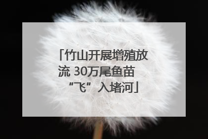 竹山开展增殖放流 30万尾鱼苗“飞”入堵河