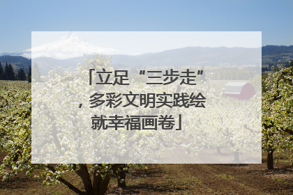 立足“三步走”，多彩文明实践绘就幸福画卷