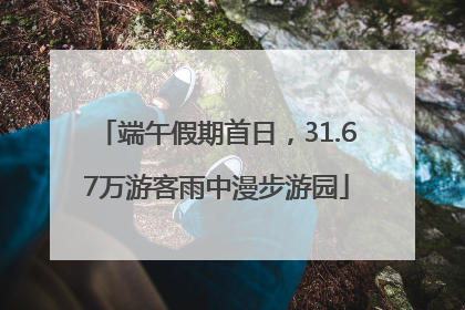 端午假期首日，31.67万游客雨中漫步游园