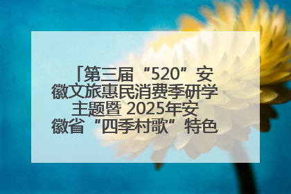 第三届“520”安徽文旅惠民消费季研学主题暨 2025年安徽省“四季村歌”特色展演燃动池州