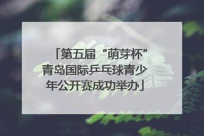 第五届“萌芽杯”青岛国际乒乓球青少年公开赛成功举办
