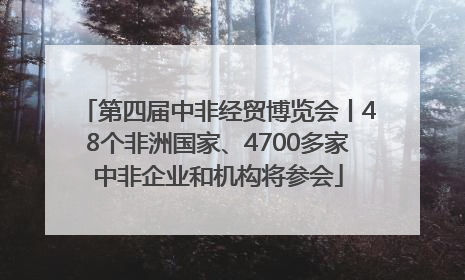 第四届中非经贸博览会丨48个非洲国家、4700多家中非企业和机构将参会