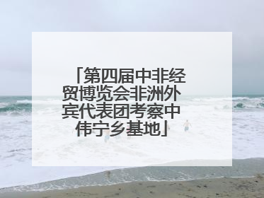 第四届中非经贸博览会非洲外宾代表团考察中伟宁乡基地
