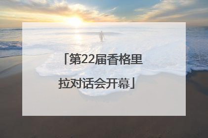 第22届香格里拉对话会开幕