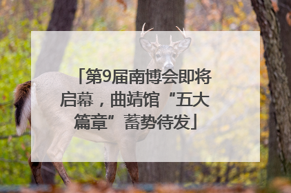 第9届南博会即将启幕，曲靖馆“五大篇章”蓄势待发
