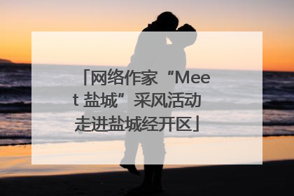 网络作家“Meet 盐城”采风活动走进盐城经开区