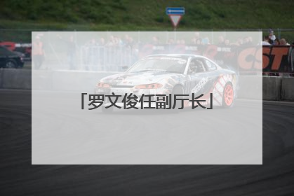 罗文俊任副厅长