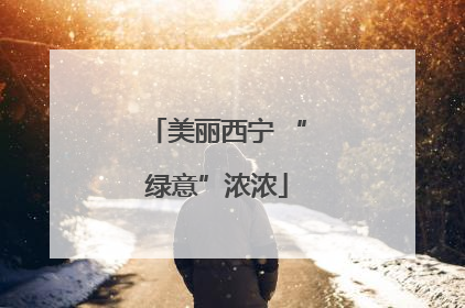 美丽西宁 “绿意”浓浓