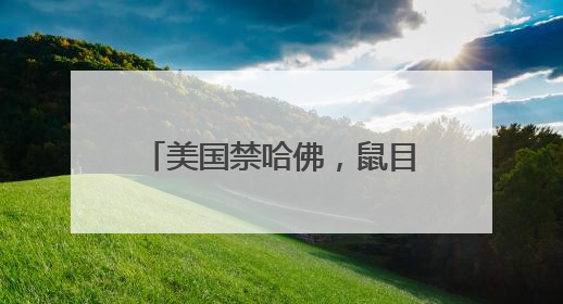 美国禁哈佛，鼠目寸光！香港科大：无条件录取转学生