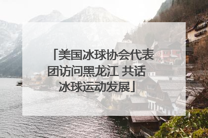 美国冰球协会代表团访问黑龙江 共话冰球运动发展