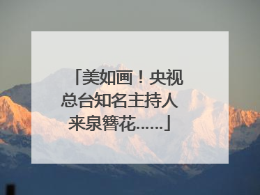 美如画！央视总台知名主持人来泉簪花……