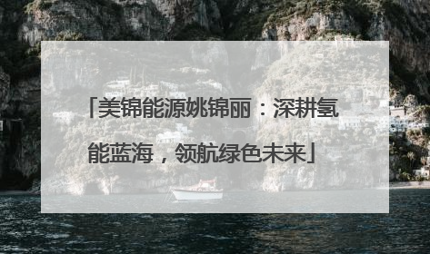 美锦能源姚锦丽：深耕氢能蓝海，领航绿色未来