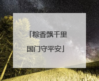 粽香飘千里 国门守平安