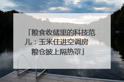 粮食收储里的科技范儿：玉米住进空调房 粮仓披上隔热罩