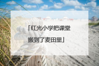 红光小学把课堂搬到了麦田里
