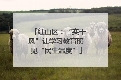 红山区：“实干风”让学习教育照见“民生温度”