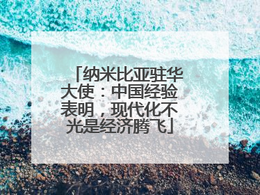 纳米比亚驻华大使：中国经验表明，现代化不光是经济腾飞