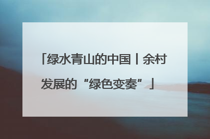 绿水青山的中国丨余村发展的“绿色变奏”