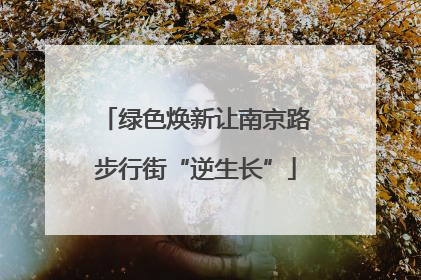 绿色焕新让南京路步行街“逆生长”