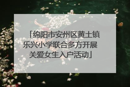 绵阳市安州区黄土镇乐兴小学联合多方开展关爱女生入户活动