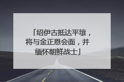 绍伊古抵达平壤，将与金正恩会面，并缅怀朝鲜战士