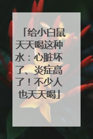 给小白鼠天天喝这种水：心脏坏了、炎症高了！不少人也天天喝