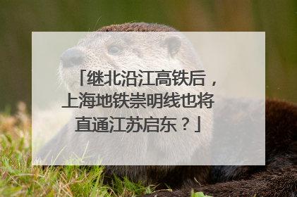 继北沿江高铁后，上海地铁崇明线也将直通江苏启东？