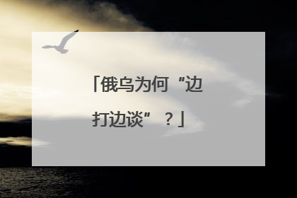 俄乌为何“边打边谈”？