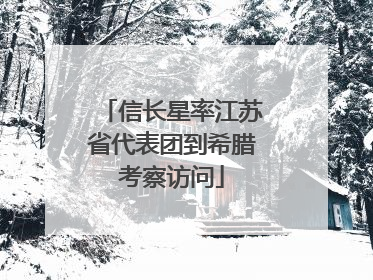 信长星率江苏省代表团到希腊考察访问