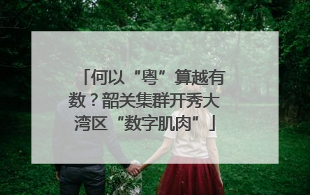 何以“粤”算越有数？韶关集群开秀大湾区“数字肌肉”