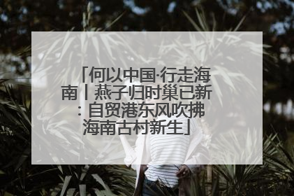 何以中国·行走海南丨燕子归时巢已新：自贸港东风吹拂 海南古村新生