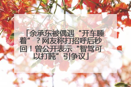 余承东被偶遇“开车睡着”？网友称打招呼后秒回！曾公开表示“智驾可以打盹”引争议