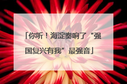 你听！海淀奏响了“强国复兴有我”最强音