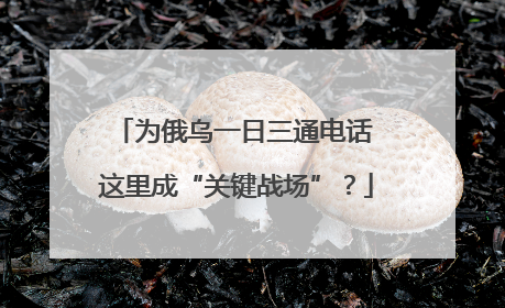 为俄乌一日三通电话 这里成“关键战场”？