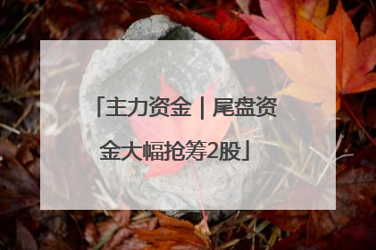 主力资金｜尾盘资金大幅抢筹2股